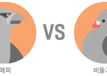 “Hawkish” and “Dovish””매파적(Hawkish)”과 “비둘기파적(Dovish)””Hawkish” and “Dovish”