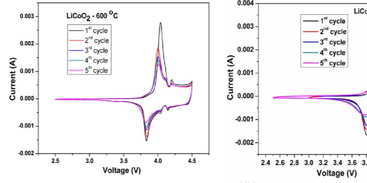 양극재 배터리(Cathode Material Batteries)