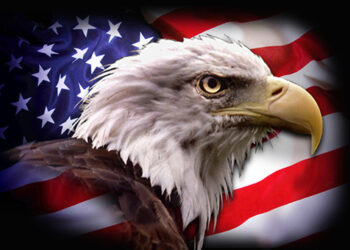 변화하는 글로벌 경제 이해하기