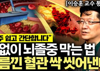 "착각은 그만!" 약없이 고지혈증·뇌졸중 막는 핵심 습관 2가지, 그리고 혈압의 진실