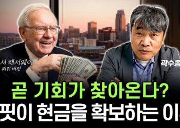 버핏 현금 확보: 숨겨진 투자 기회를 엿보는 워렌 버핏의 혜안