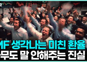 IMF·리만도 넘어선 고환율 진실: 당신이 알아야 할 글로벌 경제 트렌드