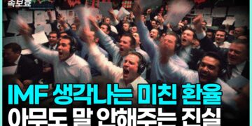 IMF·리만도 넘어선 고환율 진실: 당신이 알아야 할 글로벌 경제 트렌드