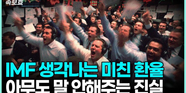 IMF·리만도 넘어선 고환율 진실: 당신이 알아야 할 글로벌 경제 트렌드