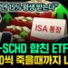 죽을 때까지 월 500만원? QQQ+SCHD를 합친 혁신적인 **월배당 ETF**의 모든 것