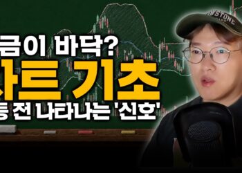 내 종목, 언제 오를까? 차트로 포착하는 주식 반등 신호 완벽 분석