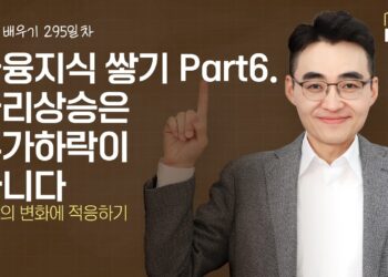 금리 상승기 투자 전략: 주가 하락의 오해를 넘어, 변화에 적응하는 현명한 투자법