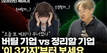 흔들리는 계좌를 지키는 '폭락장 투자 전략': 손절 vs 버틸 주식 3가지 기준